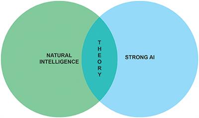 Computational Foundations of Natural Intelligence